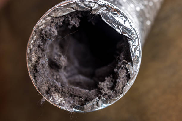 Best Air Duct Cleaning Company Near Me  in Hedwig Village, TX