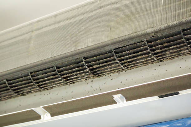 Best Affordable Duct Cleaning Services  in Hedwig Village, TX